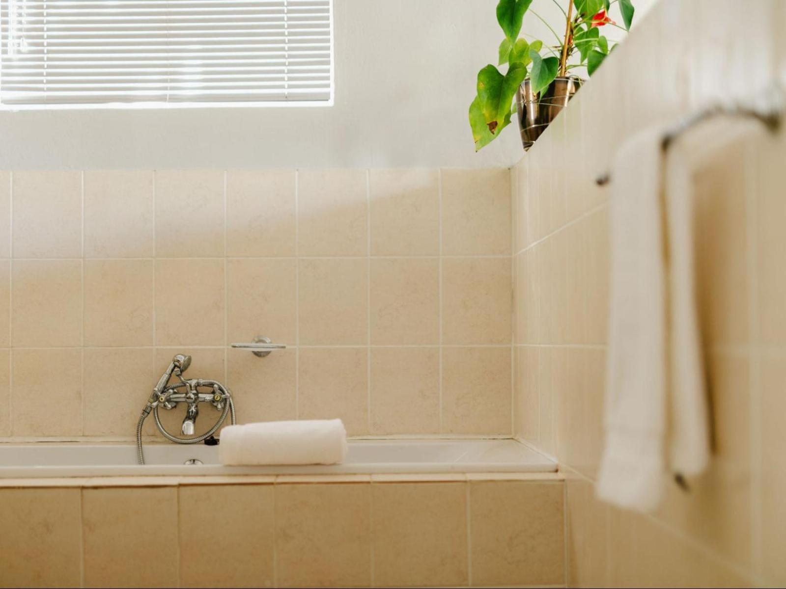 Hopefield Guesthouse-Addo Quarto foto